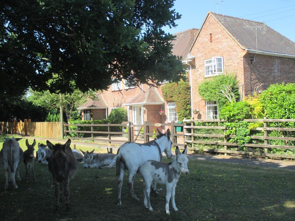 Hops Main House, Brockenhurst, New Forest Villa Exterior photo